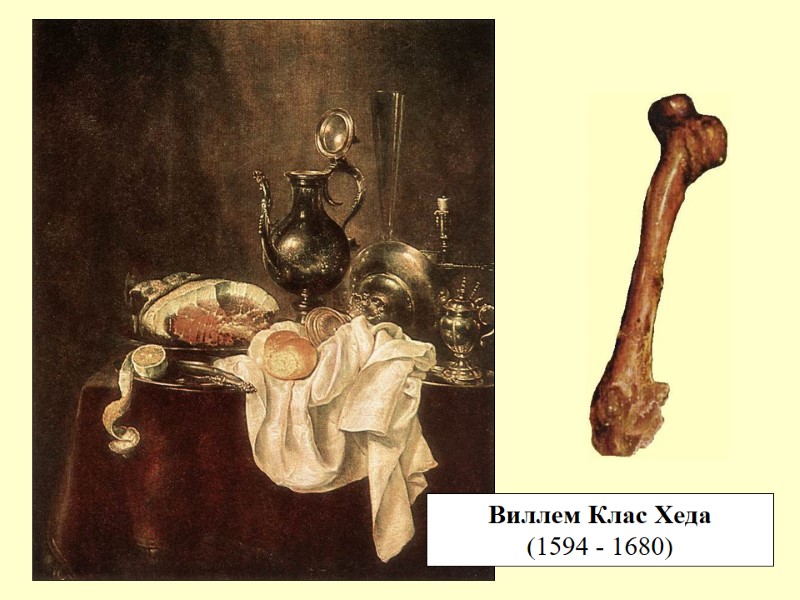 Виллем Клас Хеда (1594 - 1680)